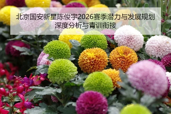 bei-jing-guo-an-xin-xing-chen-jun-yu-sai-ji-qian-li-yu-fa-zhan-gui-hua-shen-du-fen-xi-yu-qing-xun-xian-jie-2-369.jpg